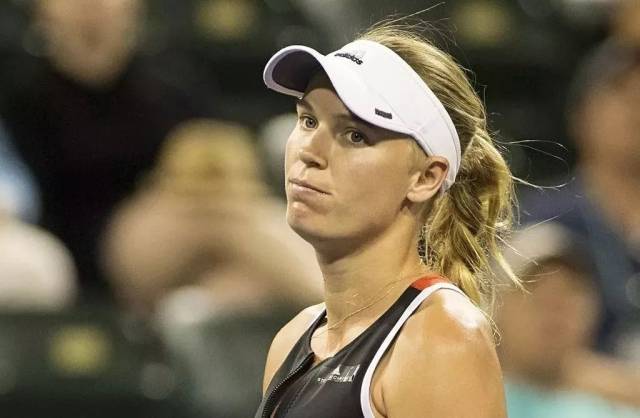 力以赴支持 力以赴支持