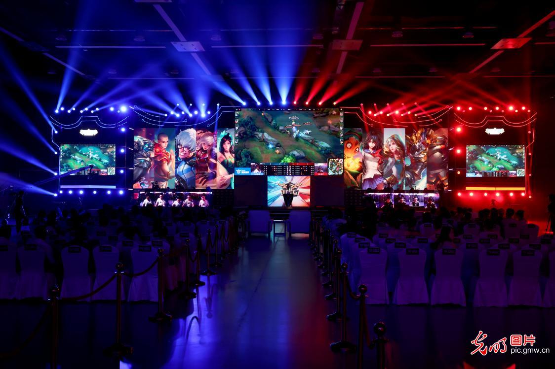 这项政策不 这项政策不