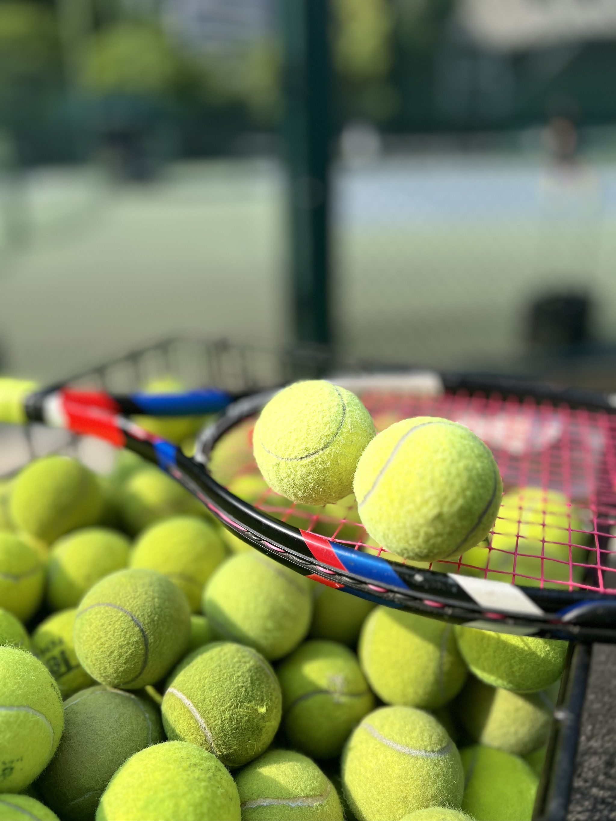 与那些新晋 与那些新晋