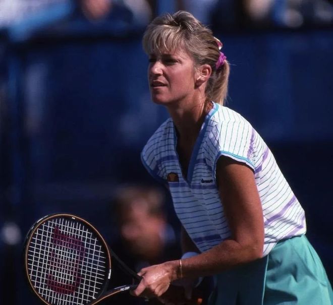 篮球的整体 篮球的整体