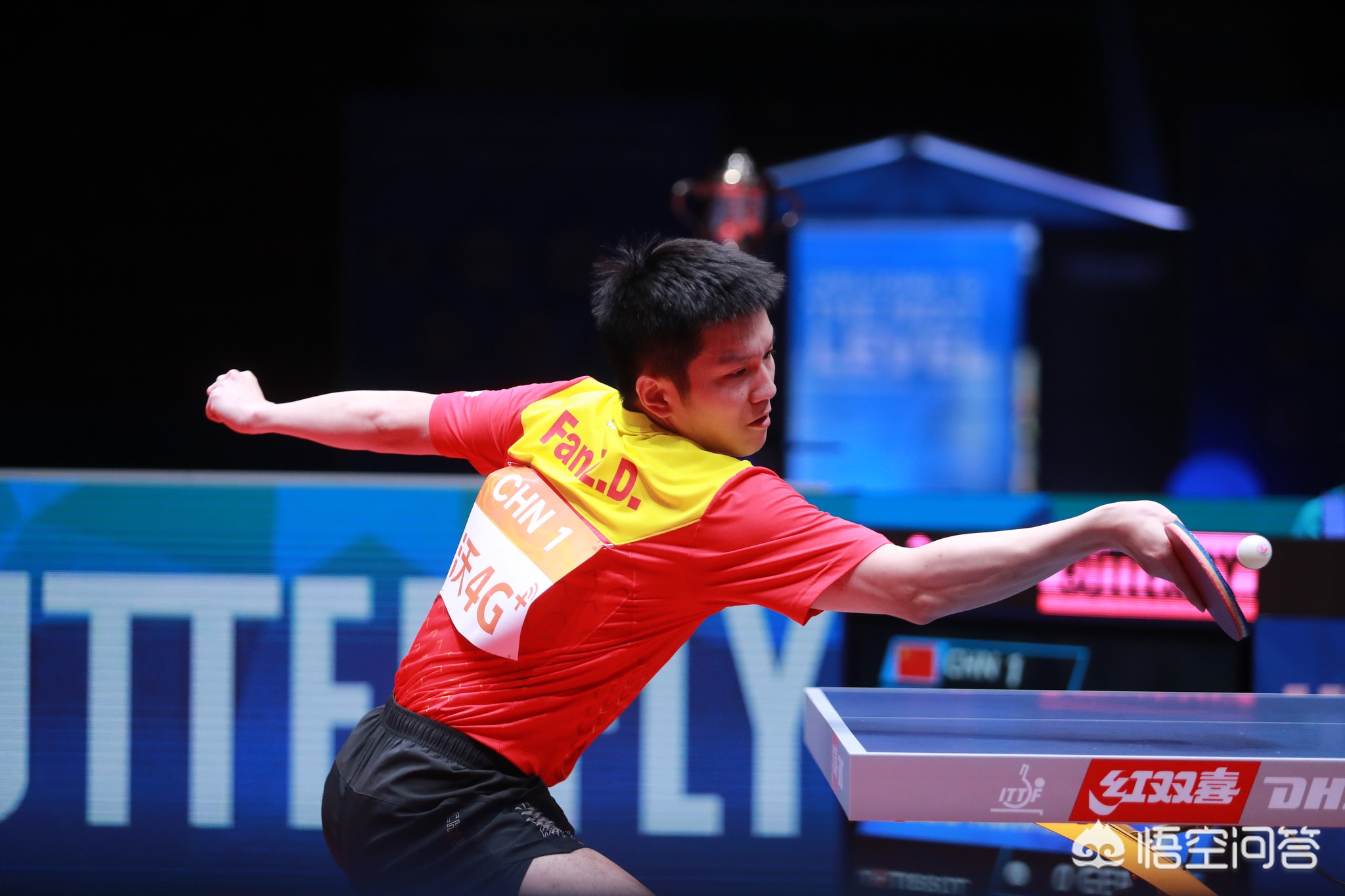 的篮球天赋 的篮球天赋